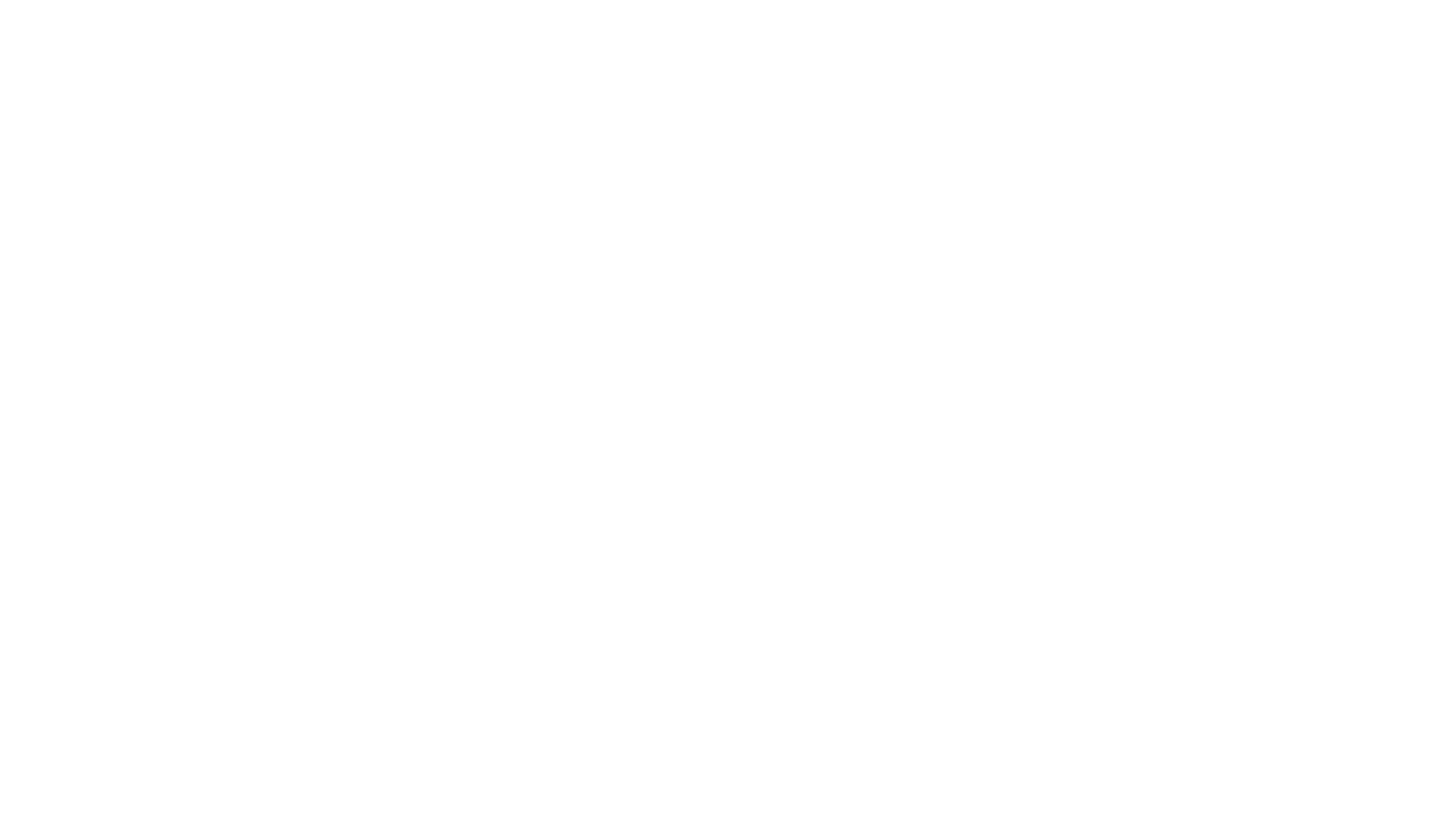 THE 319 BRAND